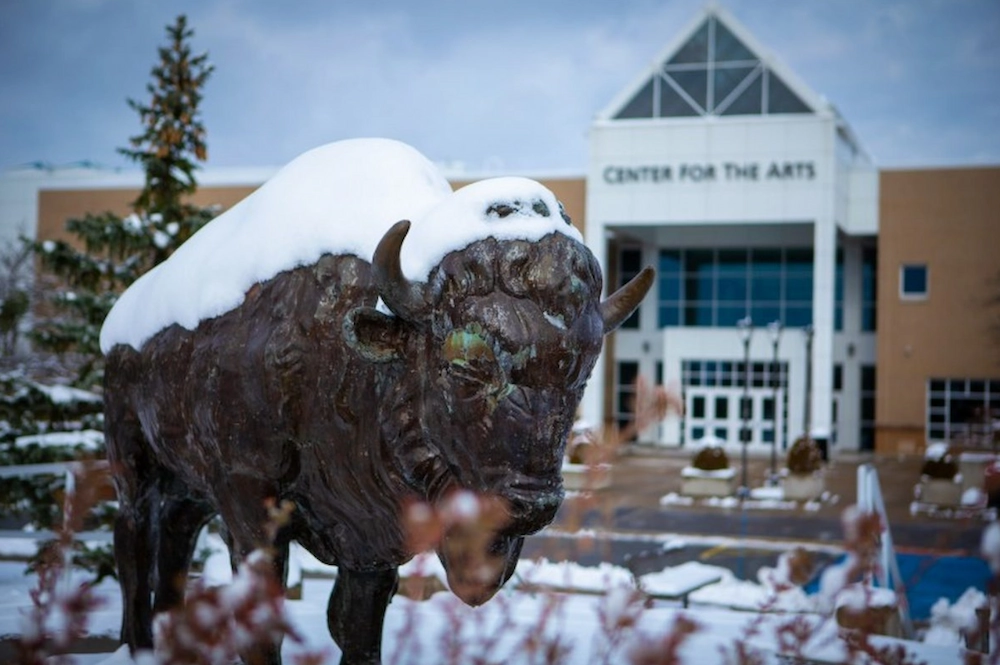 University of Buffalo Campus
